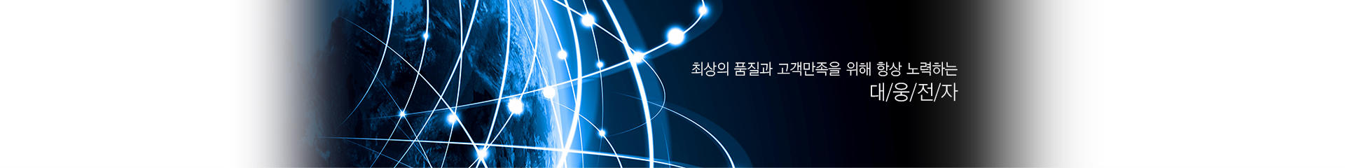 최상의 품질과 고객만족을 위해 항상 노력하는 대/웅/전/자